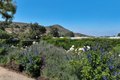 Additional image 79 of 1917 Brittany Park Rd, Camarillo, CA, 93012