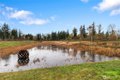 Additional image 31 of 4241 Ambrosia Ln, Bellingham, WA, 98226