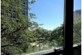 Additional image 11 of 5050 S East End Ave Apt 4B, Chicago, IL, 60615