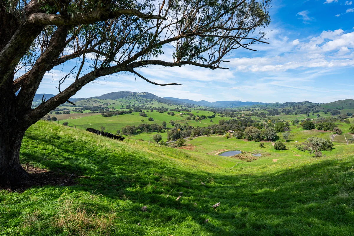 Additional image 9 of Sandy Creek Road, Sandy Creek VIC 3695