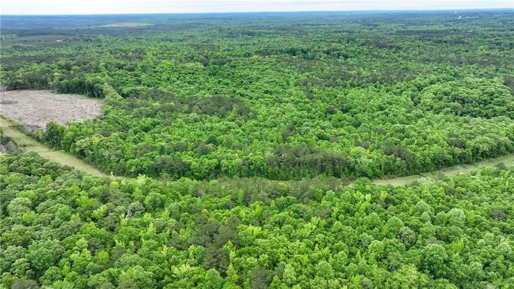 Additional image 38 of 1850 Lee Rd 140, Salem, AL 36874