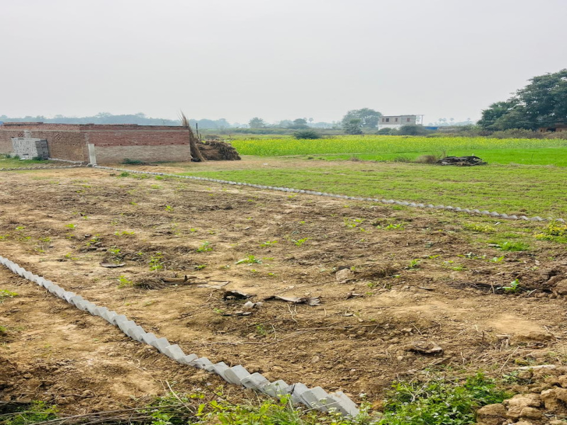 Kanhauli, Bihta, Patna photo 3
