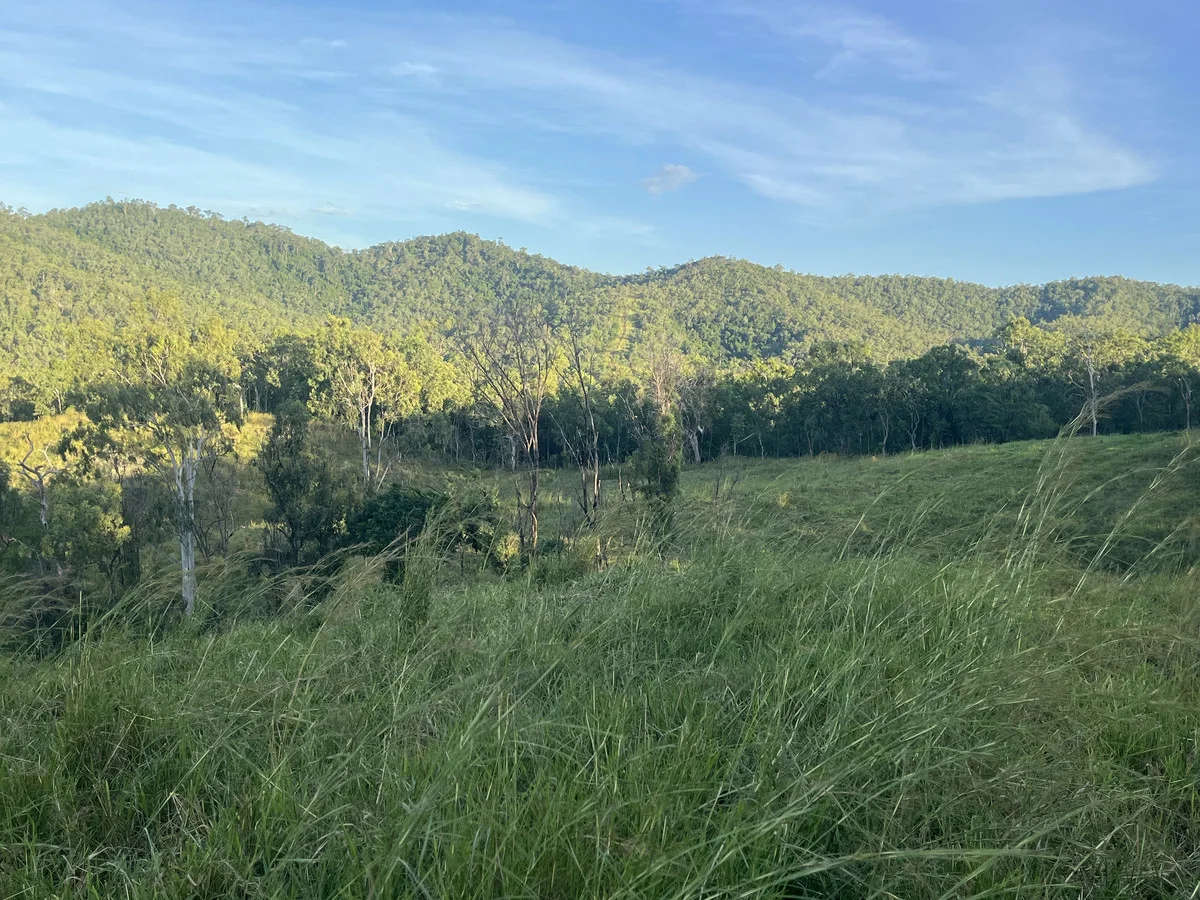 Additional image 18 of 500 Exmoor Road, Bloomsbury QLD 4799