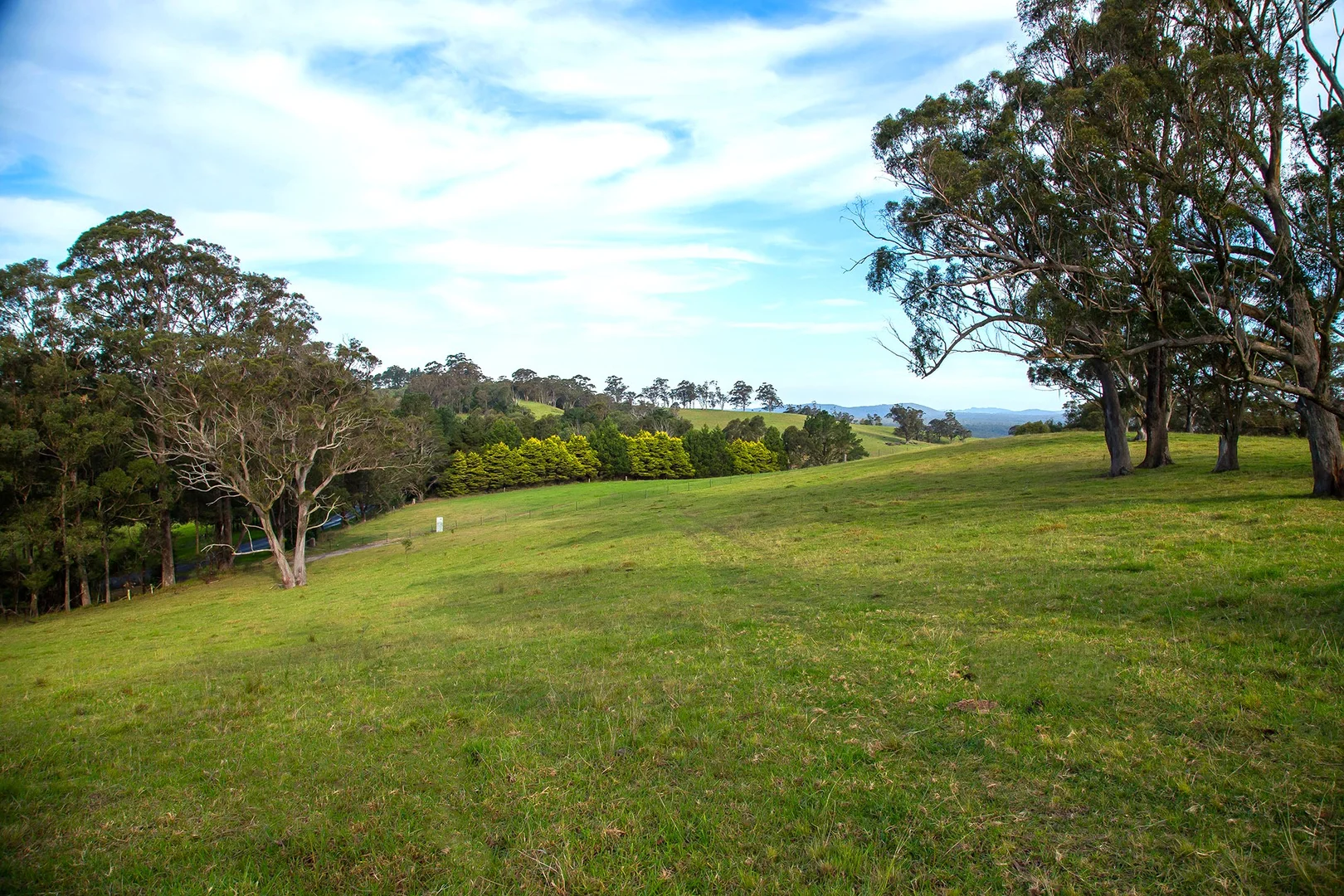Additional image 11 of 1107 Old Hume Highway, Alpine NSW 2575