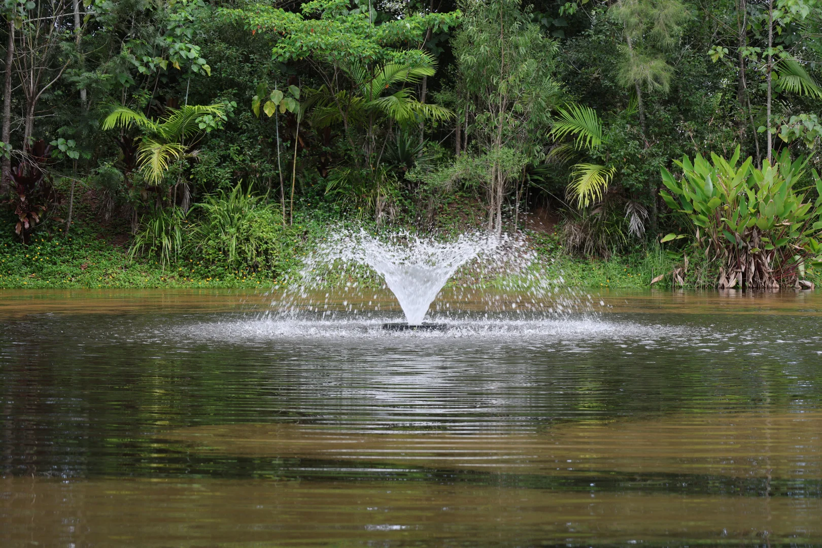 Additional image 17 of 15-31 Neeraway Road, Eerwah Vale QLD 4562