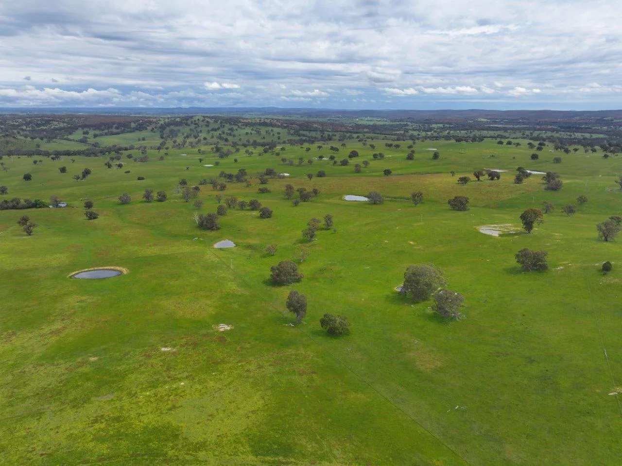 Additional image 22 of 230 Metcalfe-Elphinstone Road, Elphinstone VIC 3448