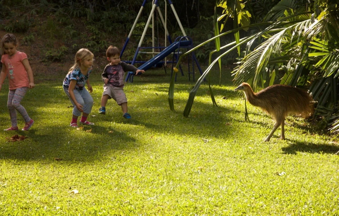 Additional image 51 of Lot 18 Turalba Road, Jubilee Heights QLD 4860