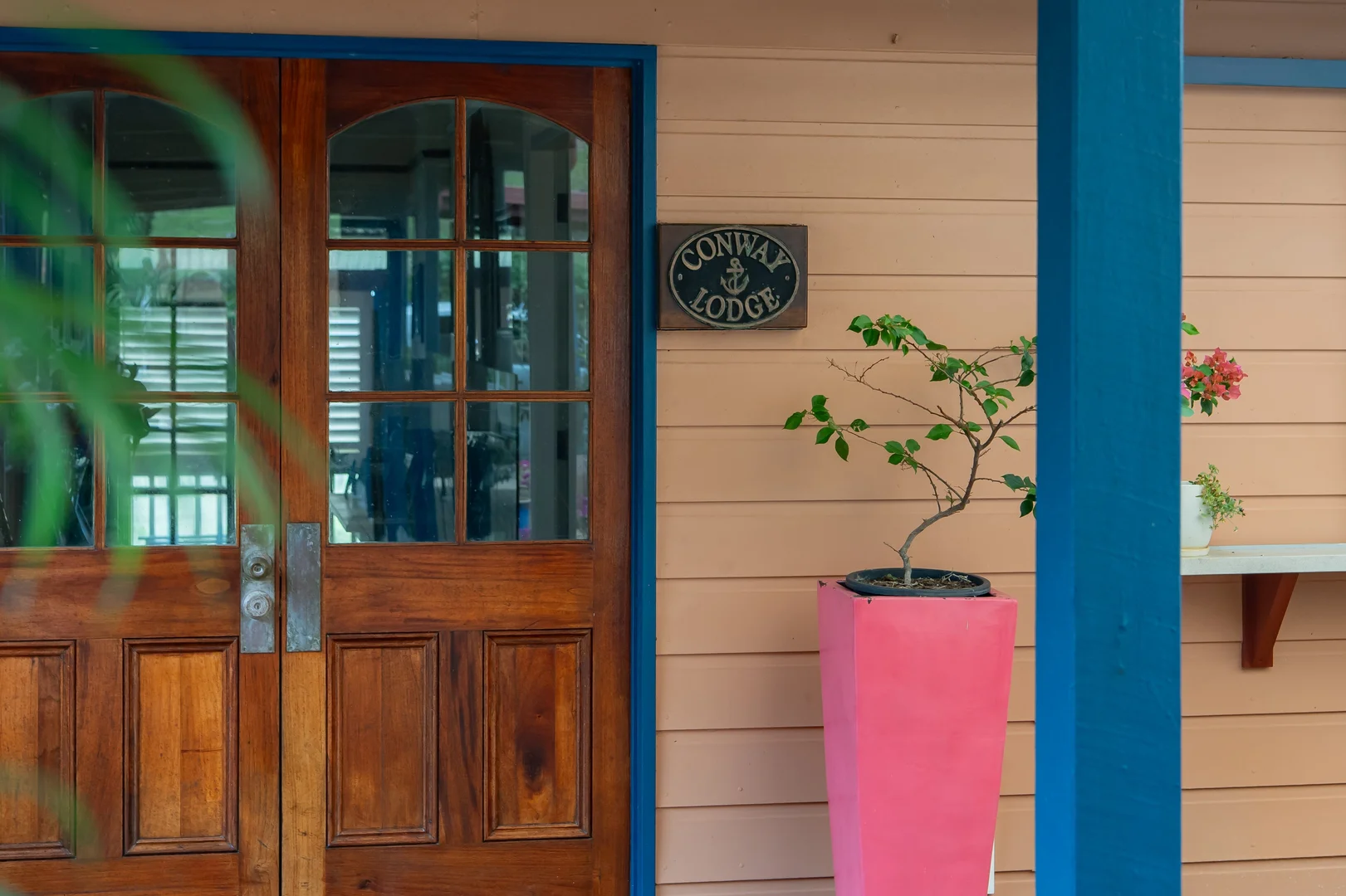 Additional image 45 of 23 Allan Road, Conway QLD 4800