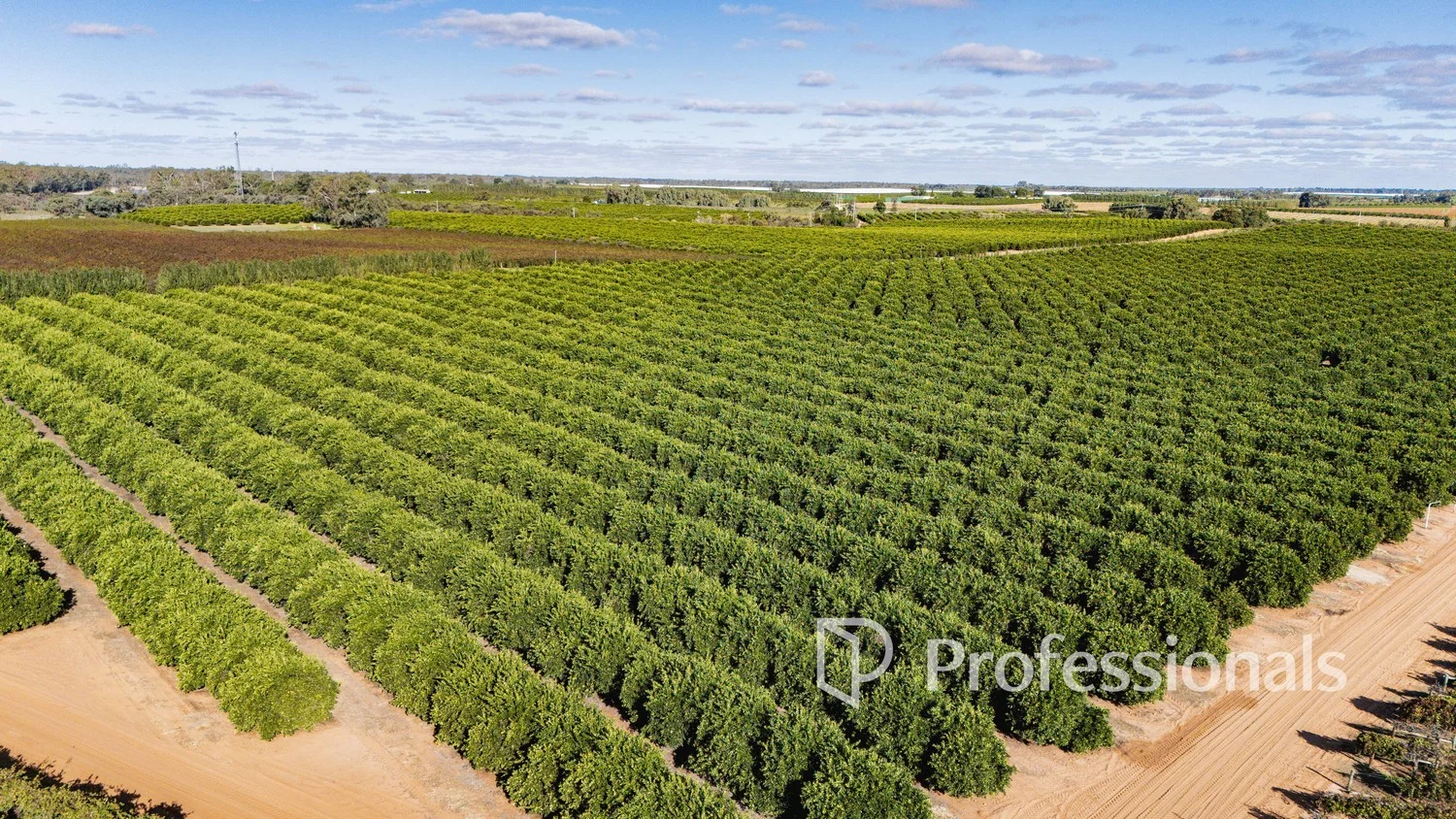 Additional image 4 of 2836 Kulkyne Way, Nangiloc VIC 3494