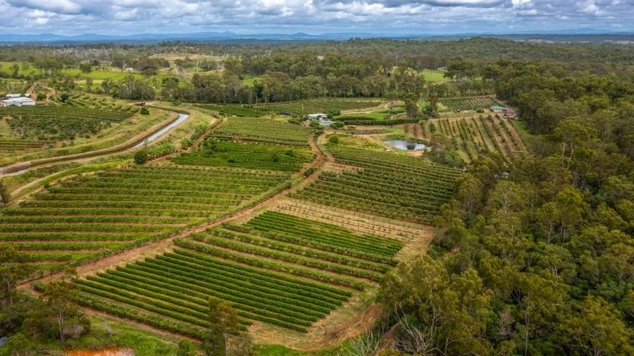 Additional image 31 of 86 Simpsons Road, Bullyard QLD 4671