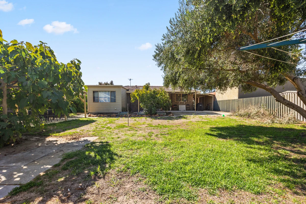 Additional image 21 of 3 Palamuna Court, Hillman WA 6168