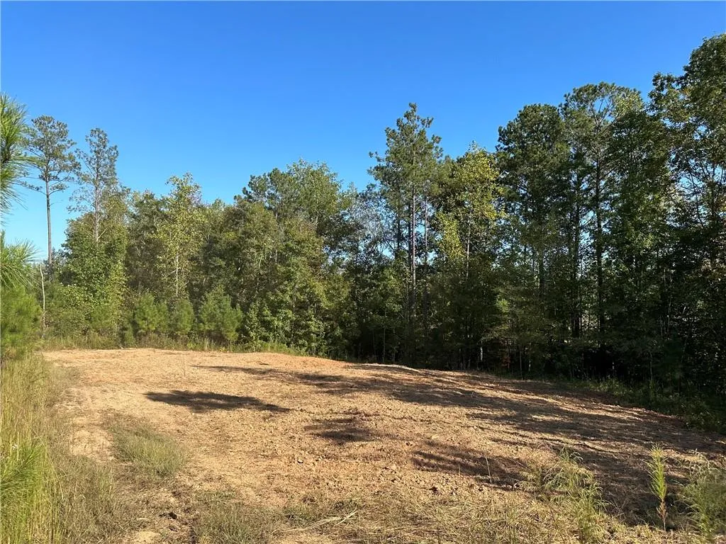 Additional image 30 of Lee Rd 334, Salem, AL 36874