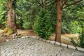 Additional image 28 of 13706 NE 85th St, Redmond, WA, 98052