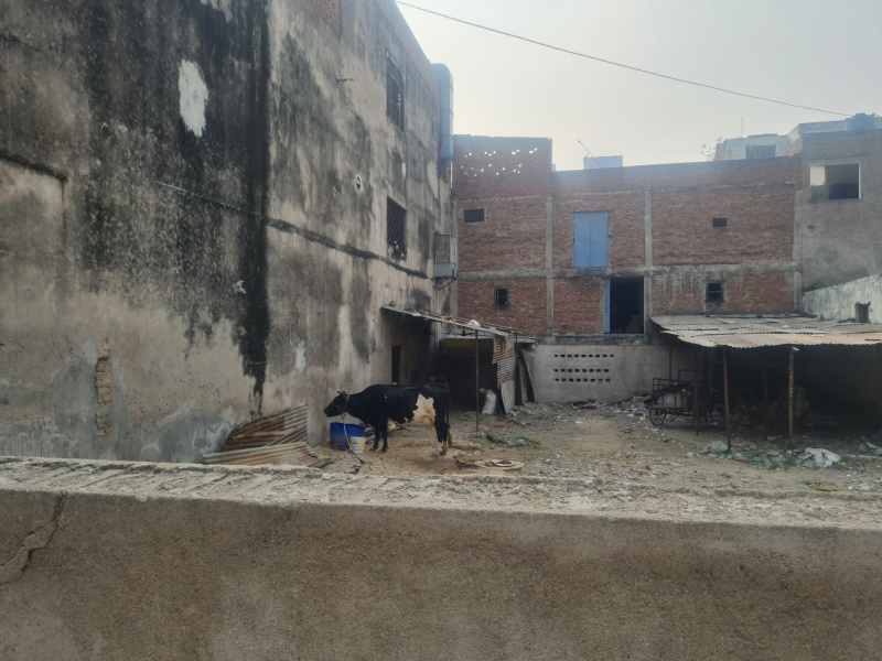 Govind Nagar, Kanpur photo 3