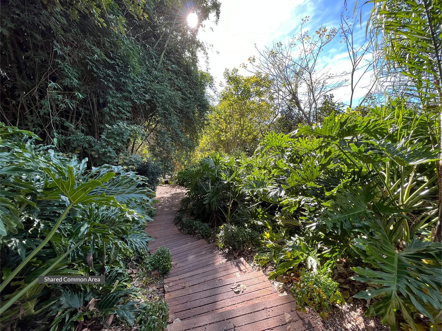 Additional image 7 of Terrace 8/79 Kings Road, Cooranbong NSW 2265