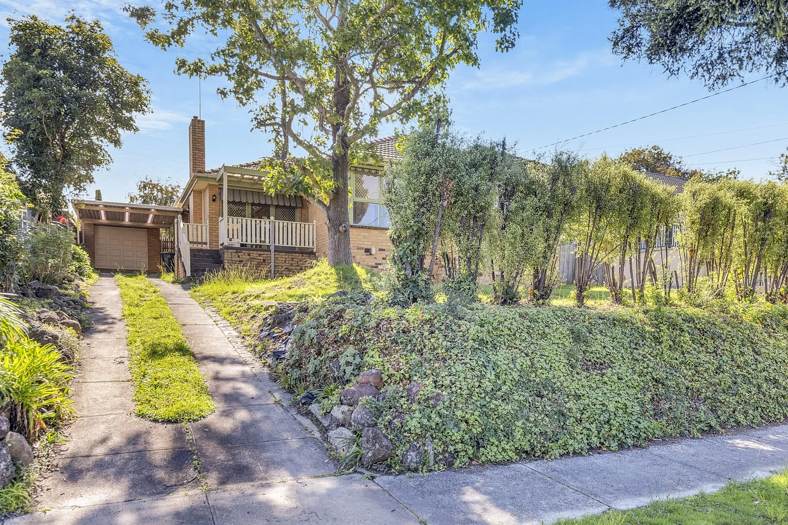 19 Cypress Avenue, Burwood VIC 3125