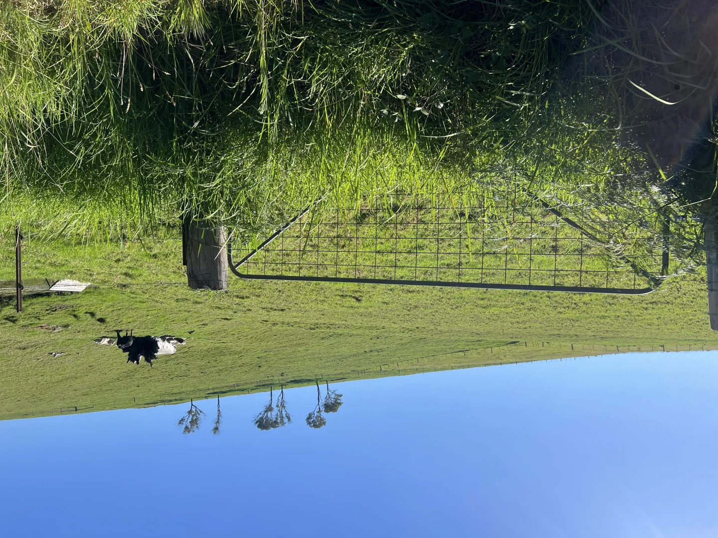 Additional image 5 of 471 Princes Highway, Orbost VIC 3888