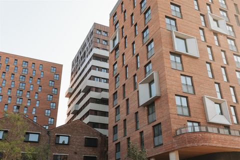 Kampus, Piccadilly M1