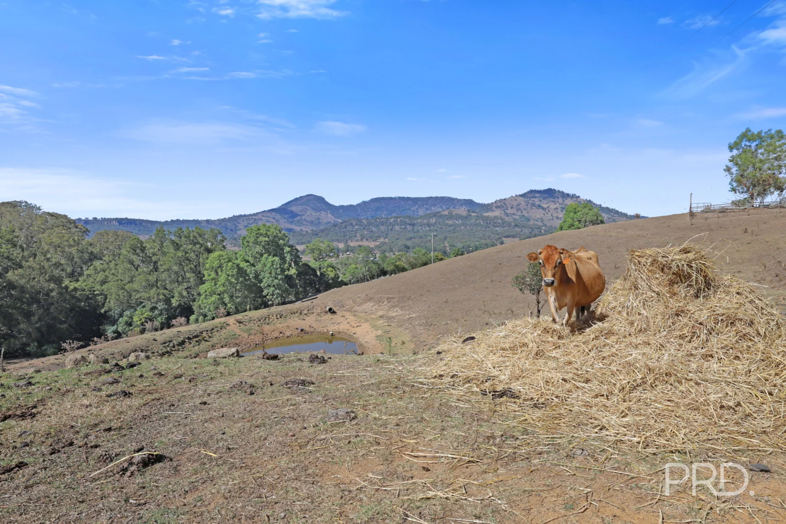 Additional image 2 of 1/71 Wilson Row, Murrurundi NSW 2338