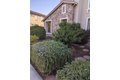 Additional image 12 of 15220 Torrey Pines Cir, Chowchilla, CA, 93610