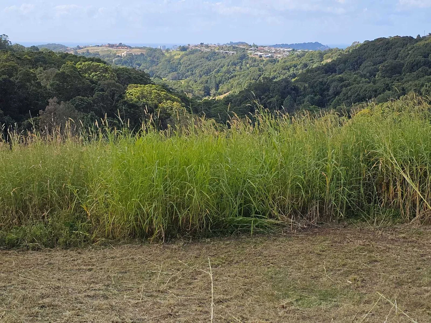Additional image 3 of 9 Evergreen View, Bilambil Heights NSW 2486