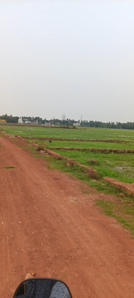 Additional image 3 of Patrapada, Bhubaneswar