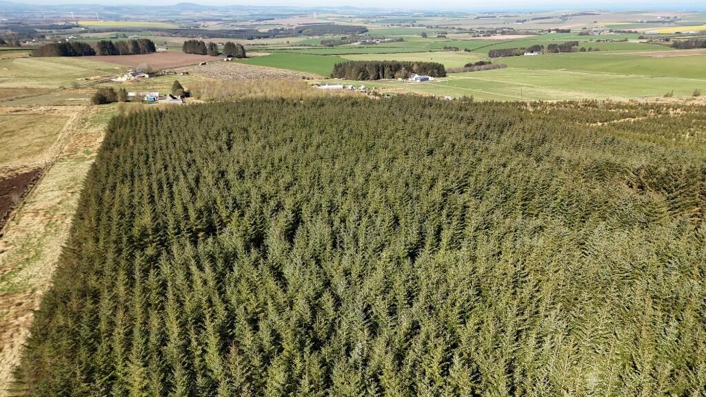 Additional image 9 of Woodland at Broadmuir, Hill of Fisherie, Turriff, AB53 5QL