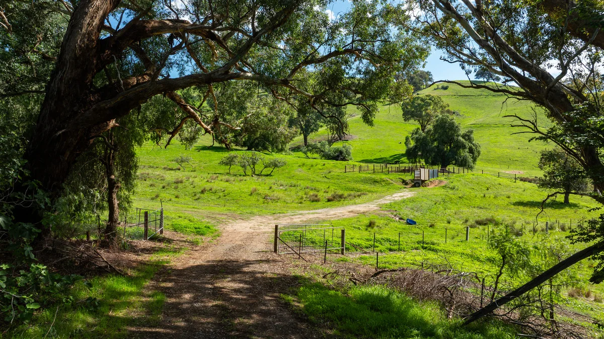 Additional image 5 of Sandy Creek Road, Sandy Creek VIC 3695