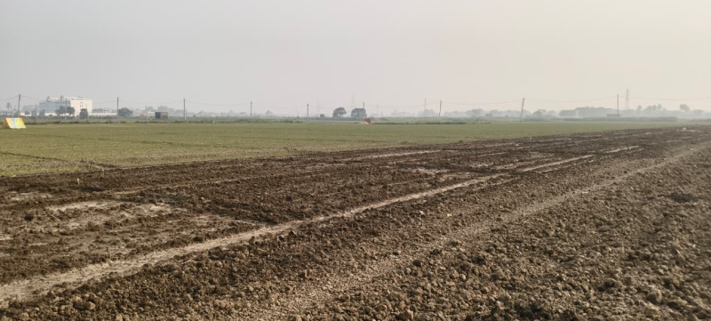 Beldari Chak, Patna photo 3