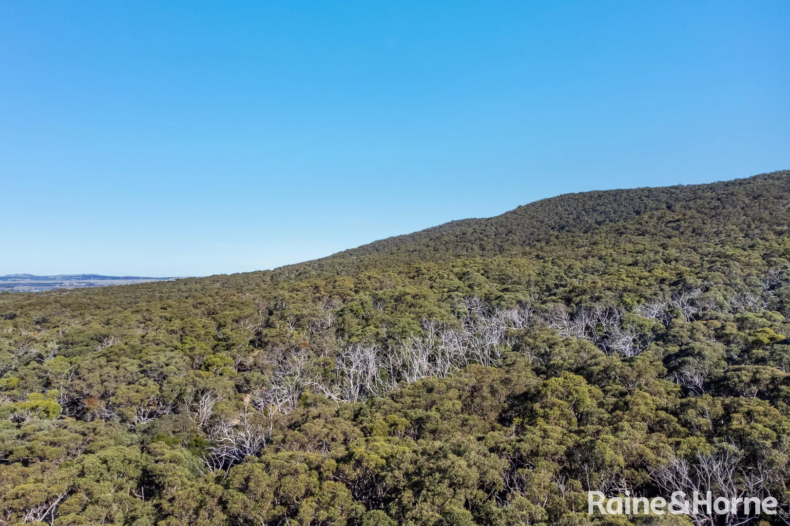 Additional image 7 of Lot 126 Prince Alfred Street, Riddells Creek VIC 3431