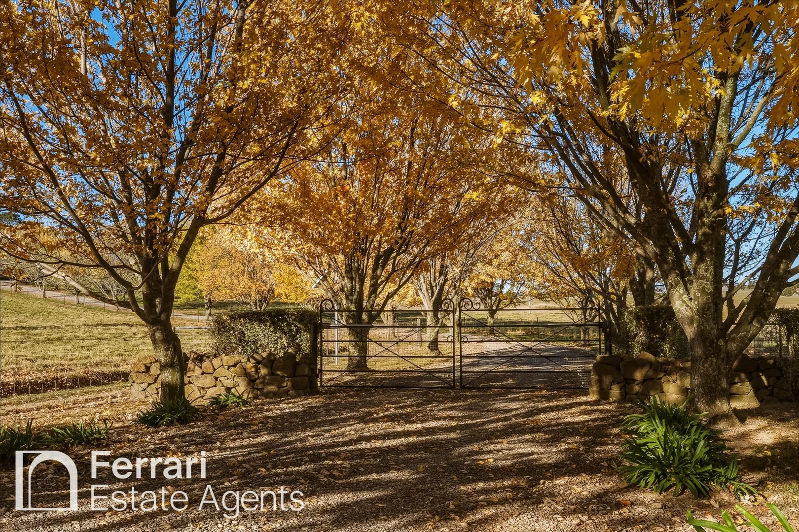 Additional image 51 of 125 Burtons Lane, Orange NSW 2800