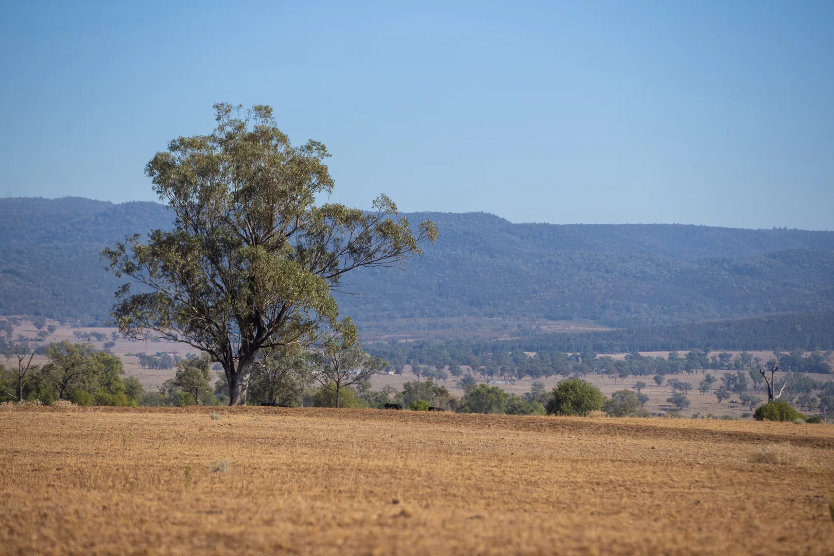 Additional image 24 of 823 Eulourie Road, Bingara NSW 2404