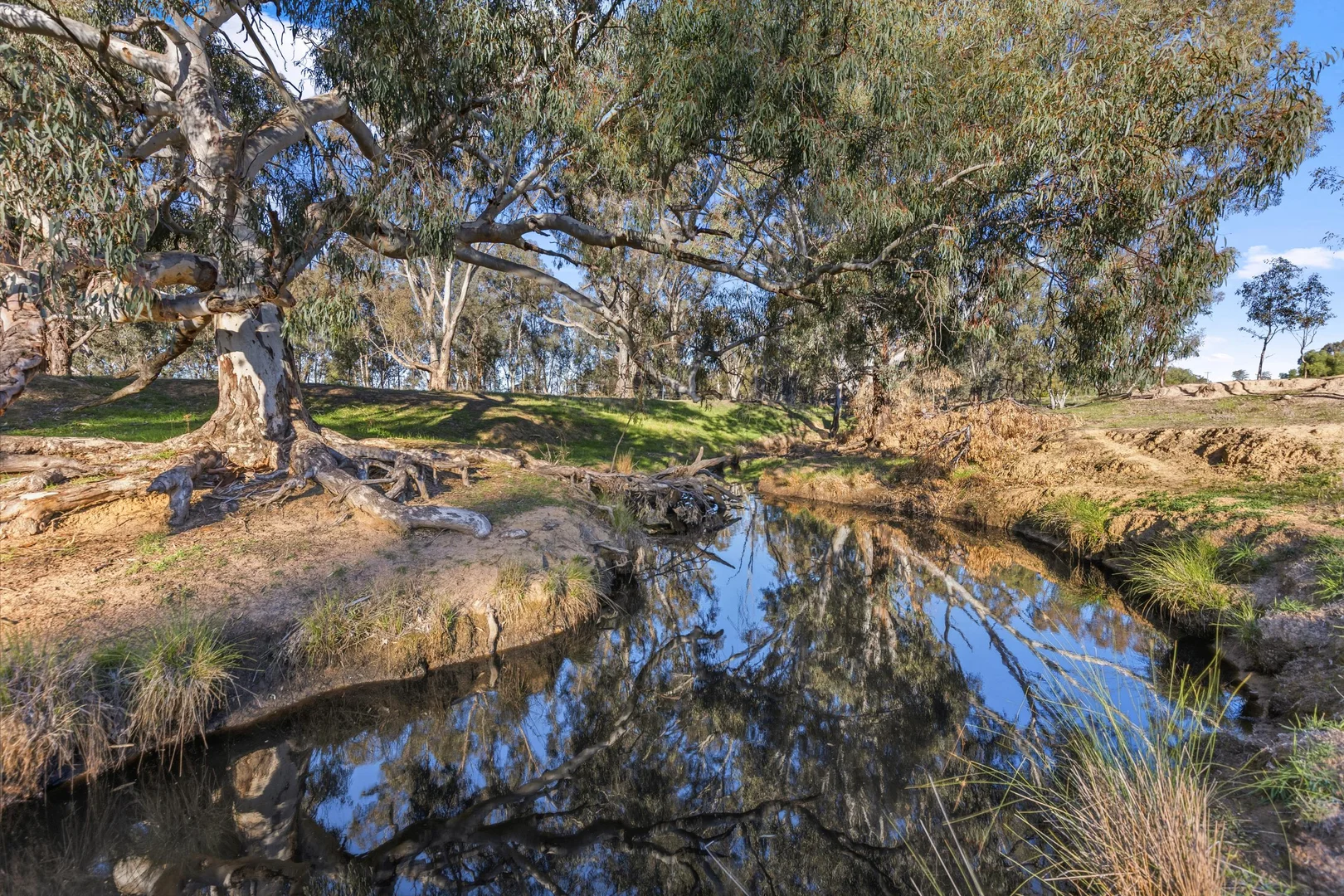 Additional image 8 of 261 Paper Forest Road, Mangoplah NSW 2652