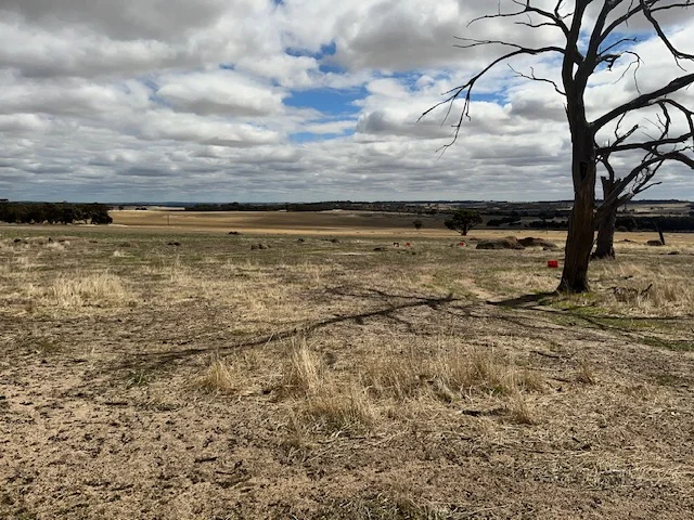 Additional image 5 of 351 Cooke Road, East Popanyinning WA 6309