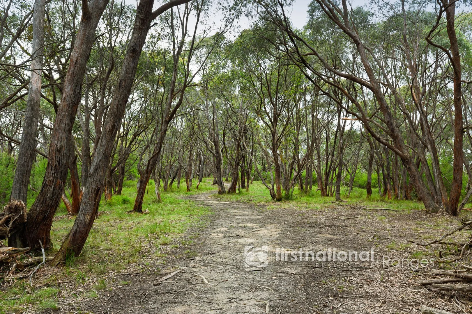 Additional image 4 of 50 Bedford Road, Cockatoo VIC 3781