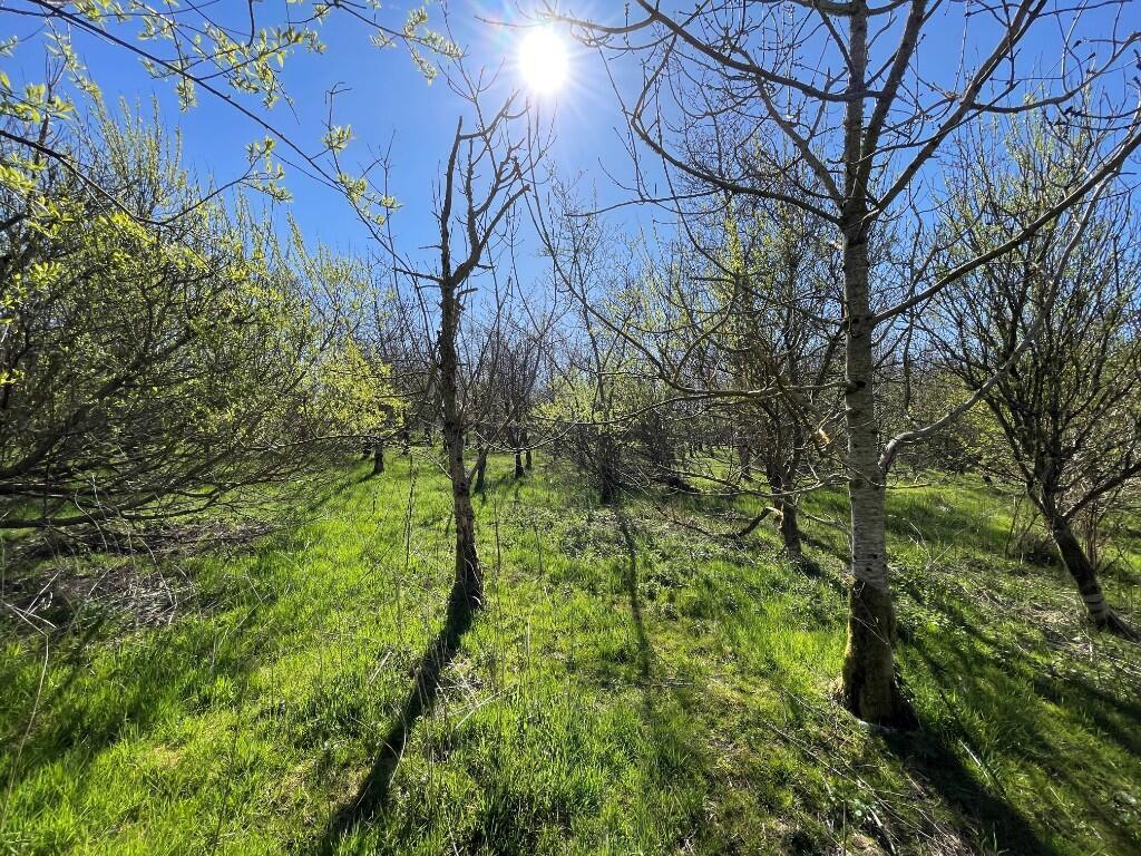 Additional image 9 of Lot 2 Woodland at Broadmuir, Hill of Fisherie, Turriff, AB53 5QL