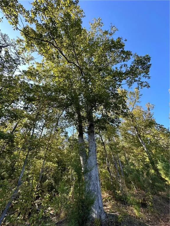 Additional image 27 of Lee Rd 334, Salem, AL 36874