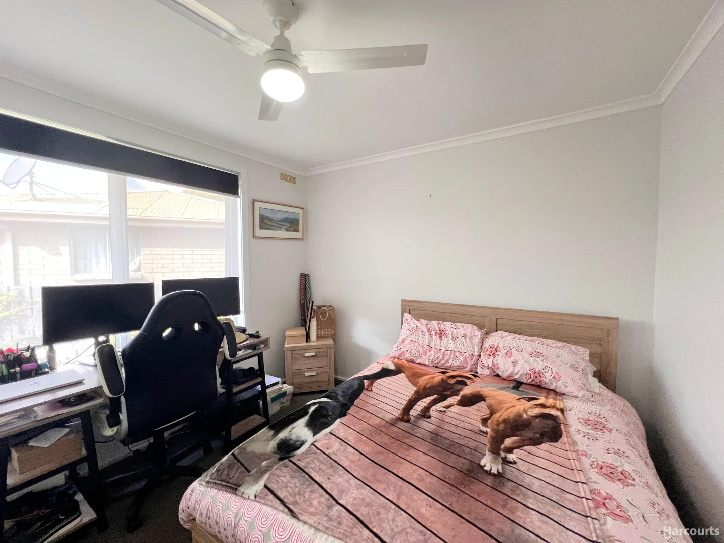 Additional image 8 of 6 Gee Avenue, George Town TAS 7253