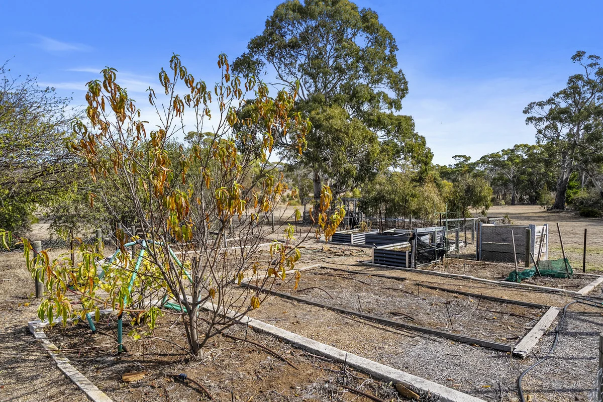 Additional image 26 of 27 Francis Street, Swansea TAS 7190