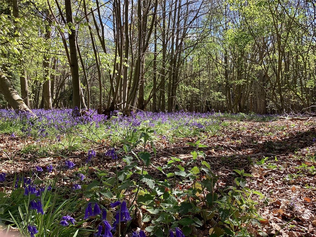Additional image 5 of Land for saleHolbrook, Ipswich, Suffolk IP9
