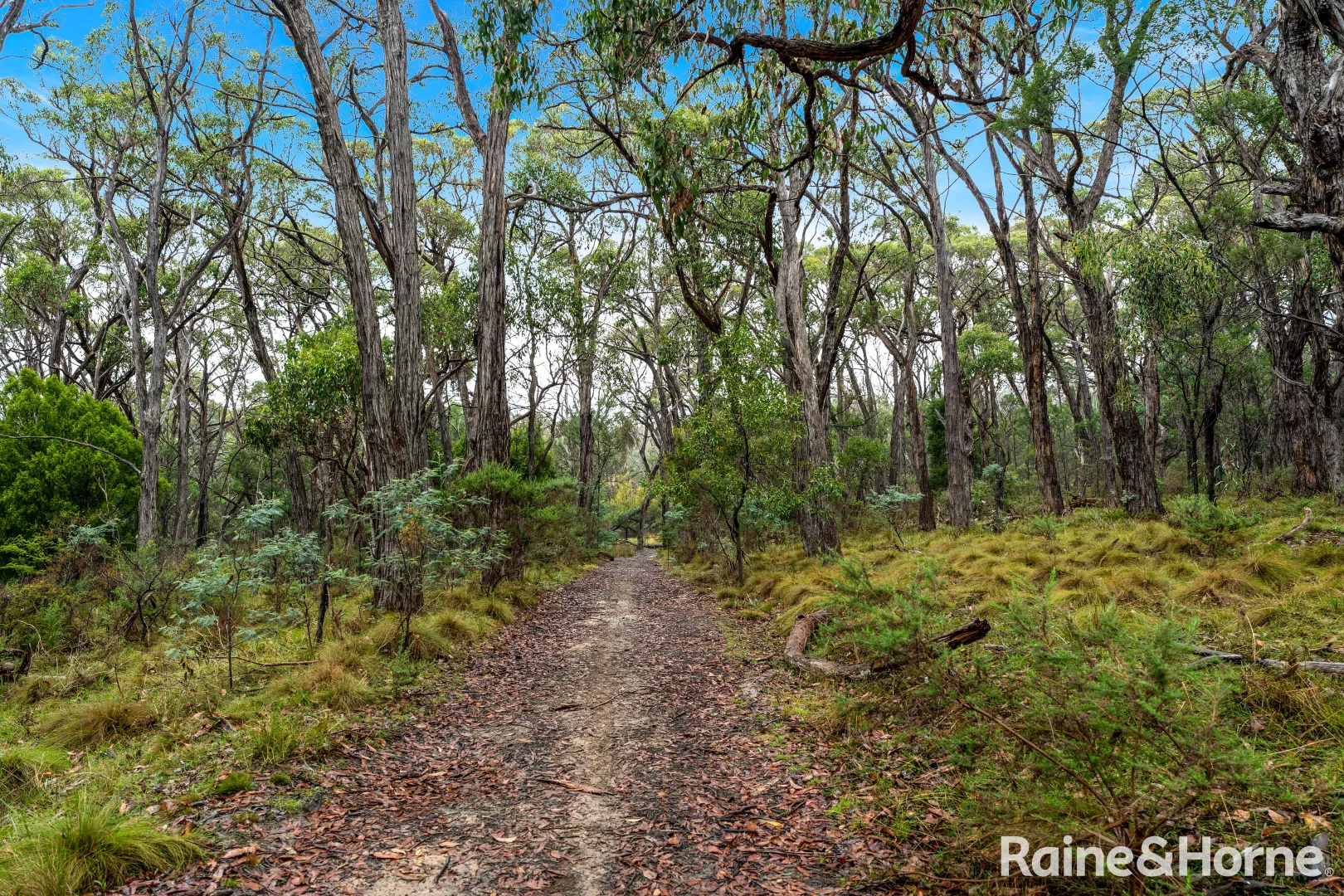 Additional image 3 of Lot 126 Prince Alfred Street, Riddells Creek VIC 3431