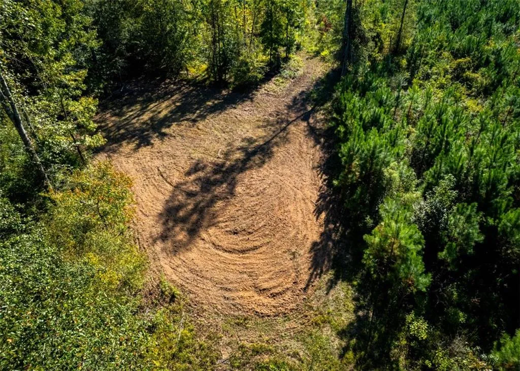 Additional image 22 of Lee Rd 334, Salem, AL 36874