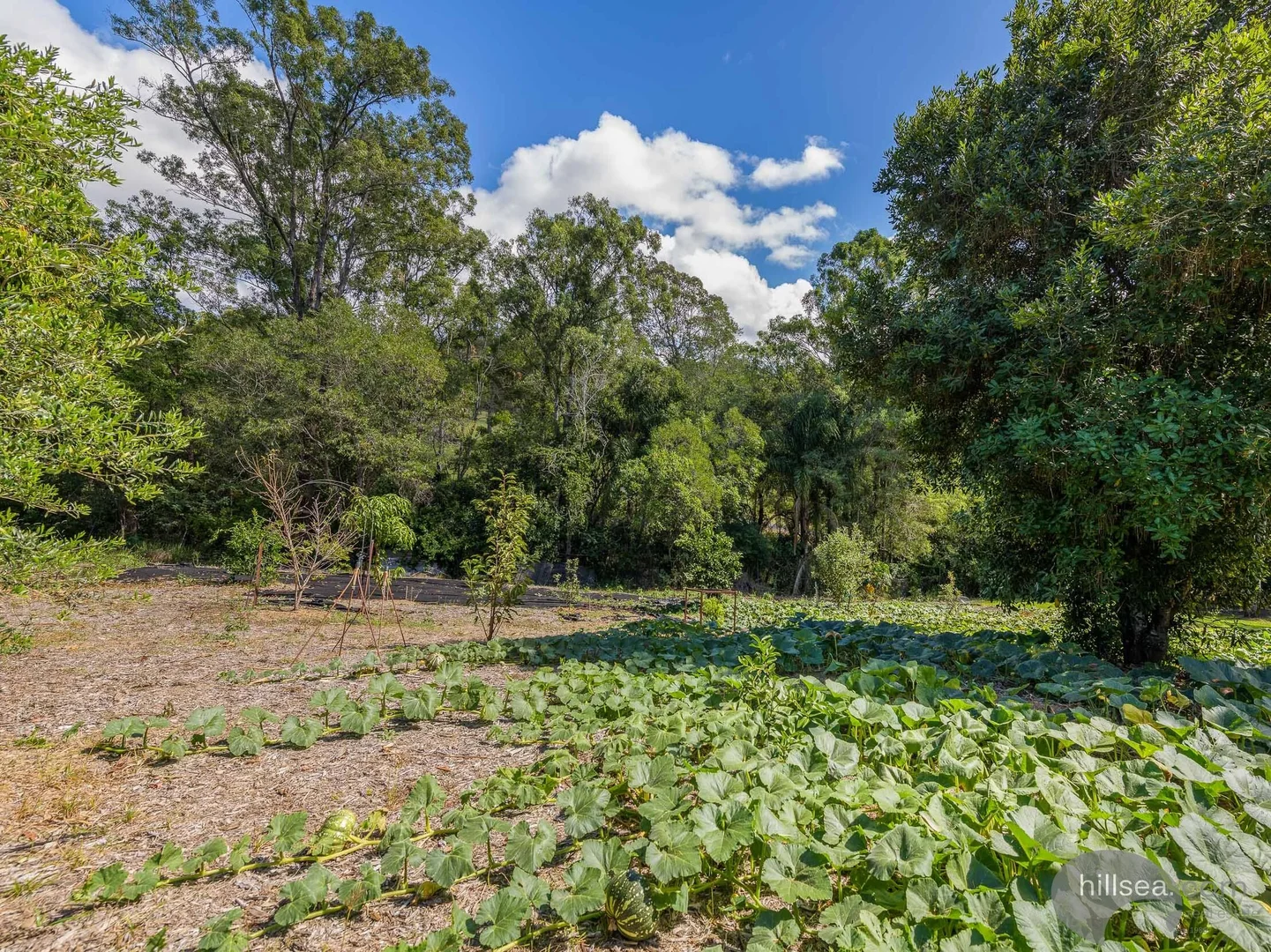Additional image 13 of 206B Guanaba Creek Road, Guanaba QLD 4210