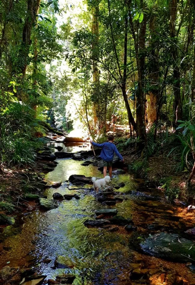 Additional image 48 of Lot 18 Turalba Road, Jubilee Heights QLD 4860