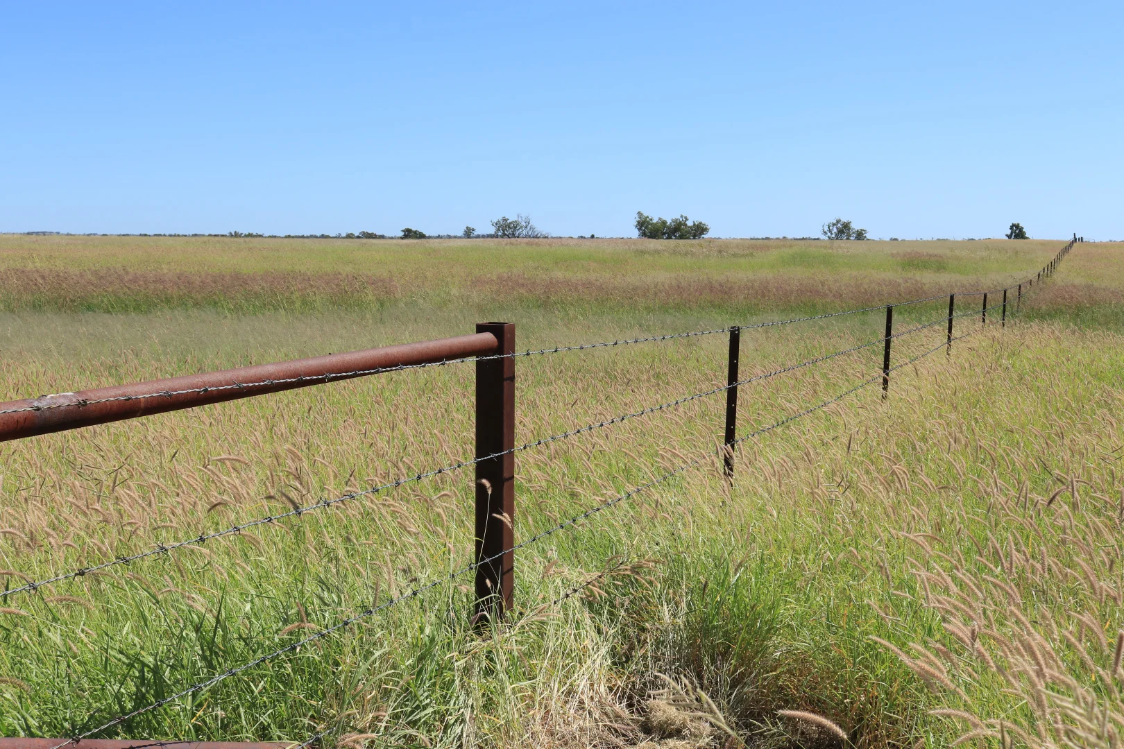 Additional image 26 of 236 Tiger Scrub Road, Roma QLD 4455