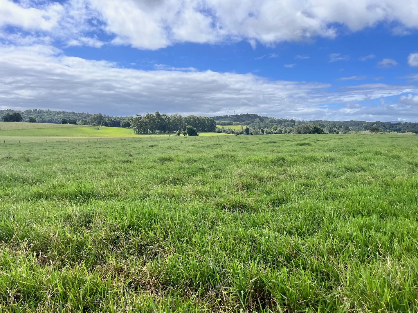 Additional image 10 of Lot 2 Lake Barrine Road, Lake Eacham QLD 4884