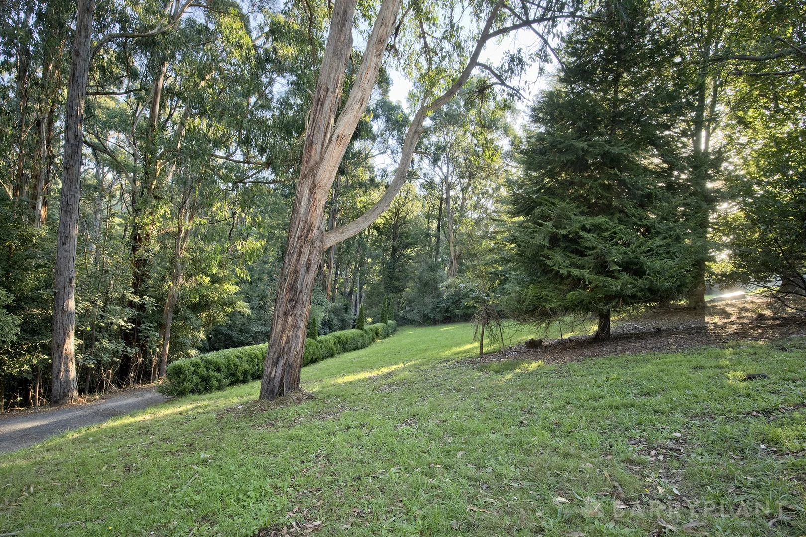 Additional image 17 of 73 Emerald Creek Road, Monbulk VIC 3793