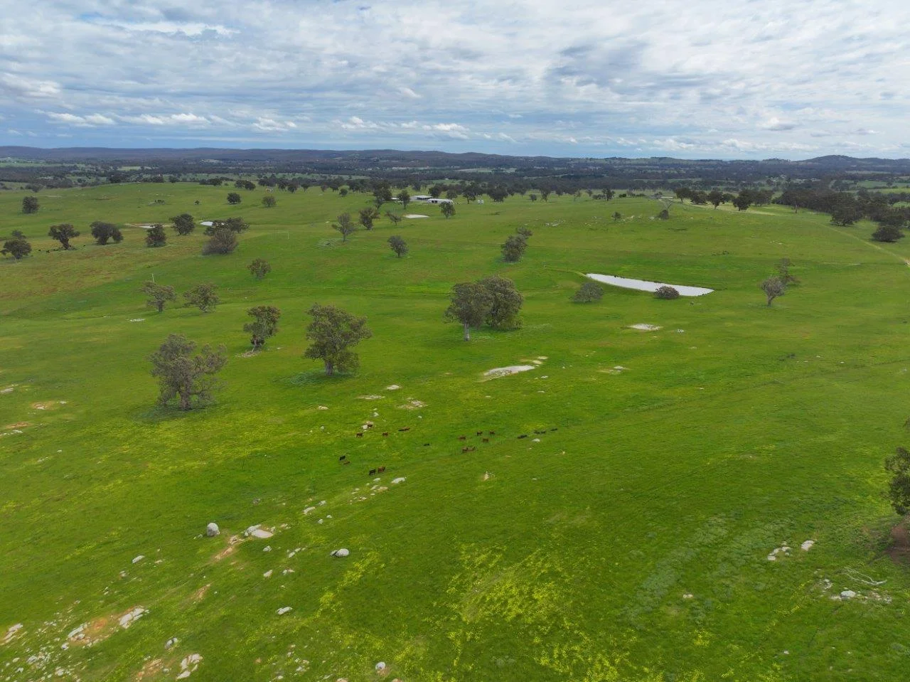 Additional image 24 of 230 Metcalfe-Elphinstone Road, Elphinstone VIC 3448