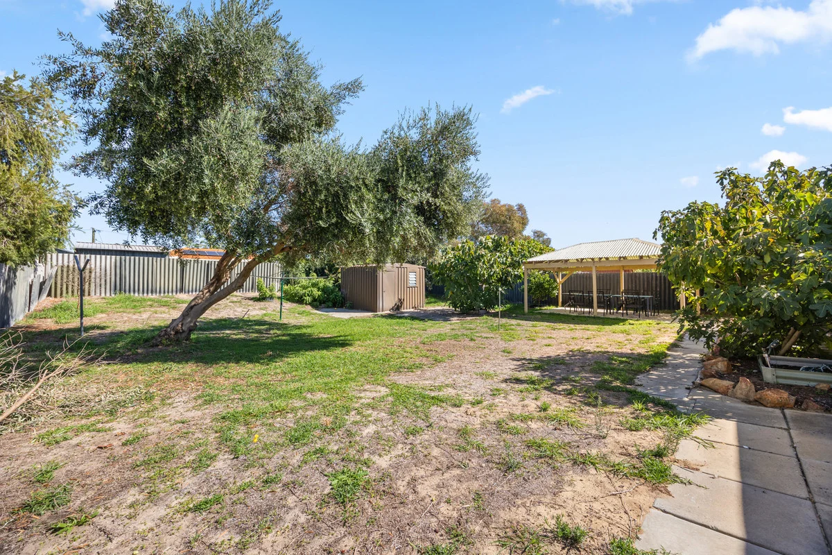 Additional image 19 of 3 Palamuna Court, Hillman WA 6168