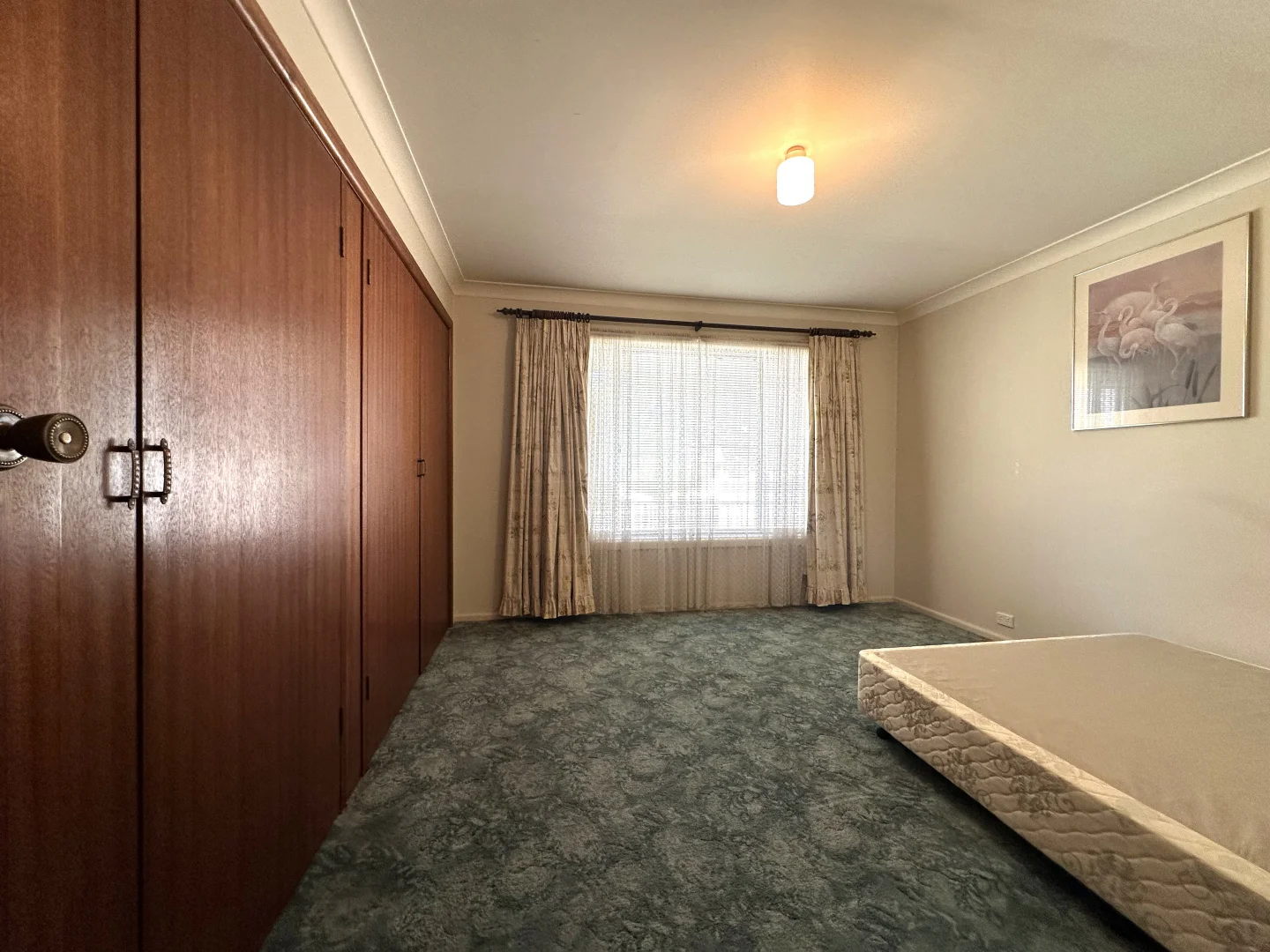 Additional image 8 of 5 Bundarbo Street, Harden NSW 2587